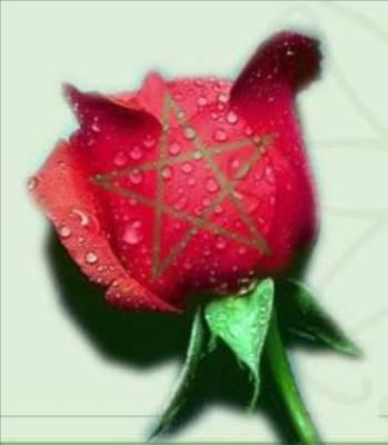 love maroc o brucelee maroc beni mallal